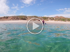Underwater Video