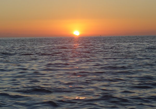 Baja May 2018