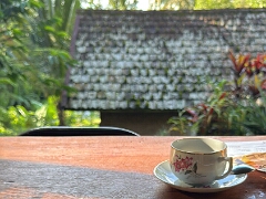 Bali Dewi Sa